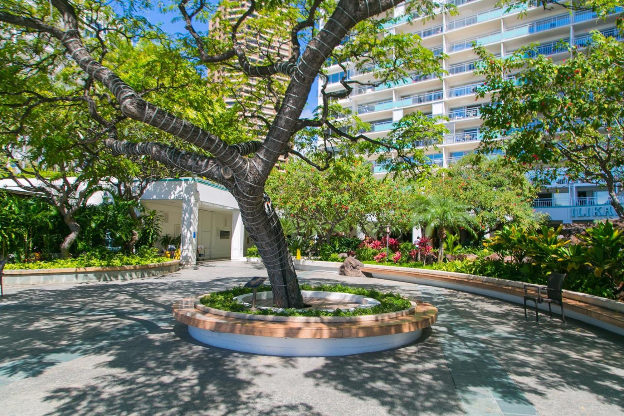 Ferienwohnung Ilikai Tower 1533 Yacht Harbor View 1BR Honolulu Exterior foto